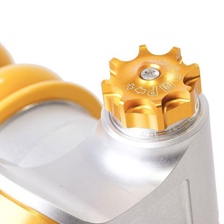 Öhlins 46 PRCB Federbein für BMW R nineT